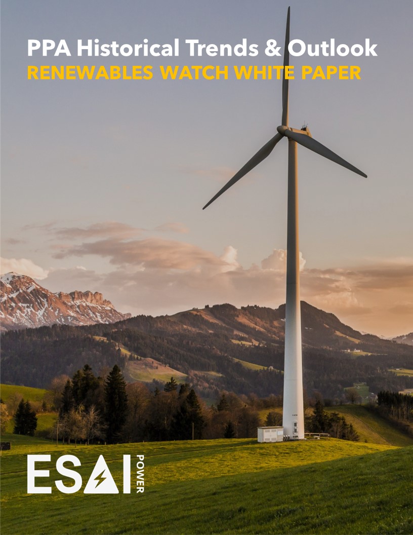 Renewables Watch White Paper