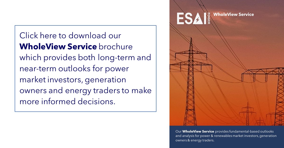 WholeView Service Graphic Website