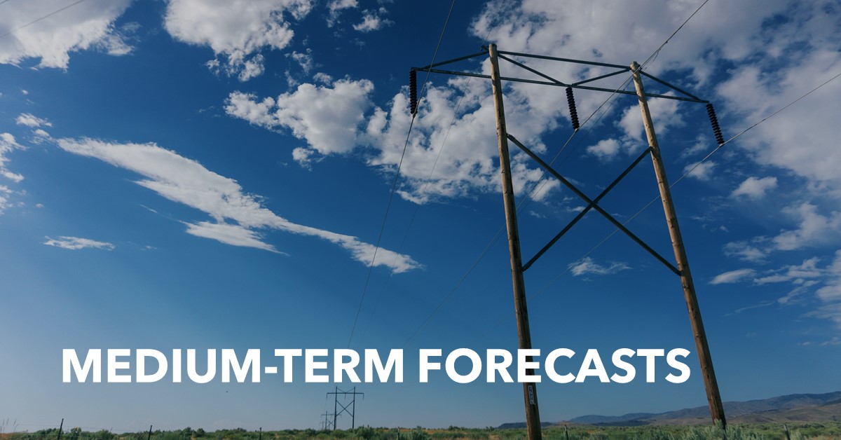 Medium-Term Forecasts