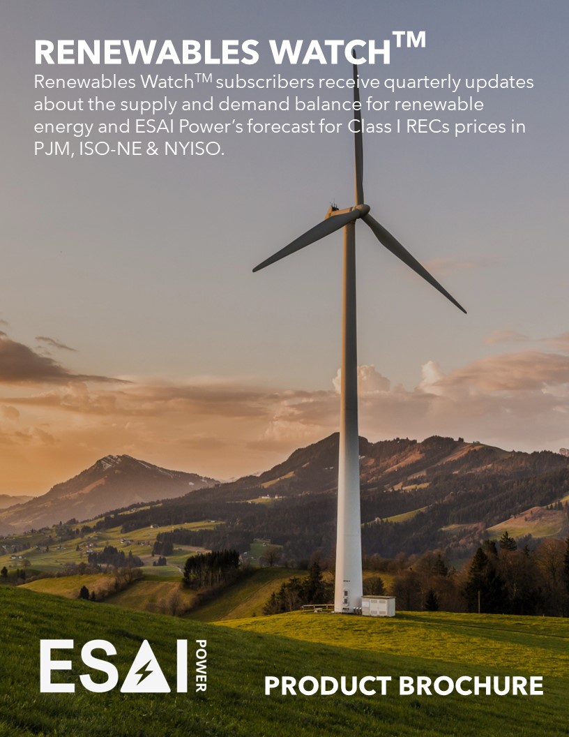 Renewables Watch Product Brochure Graphic