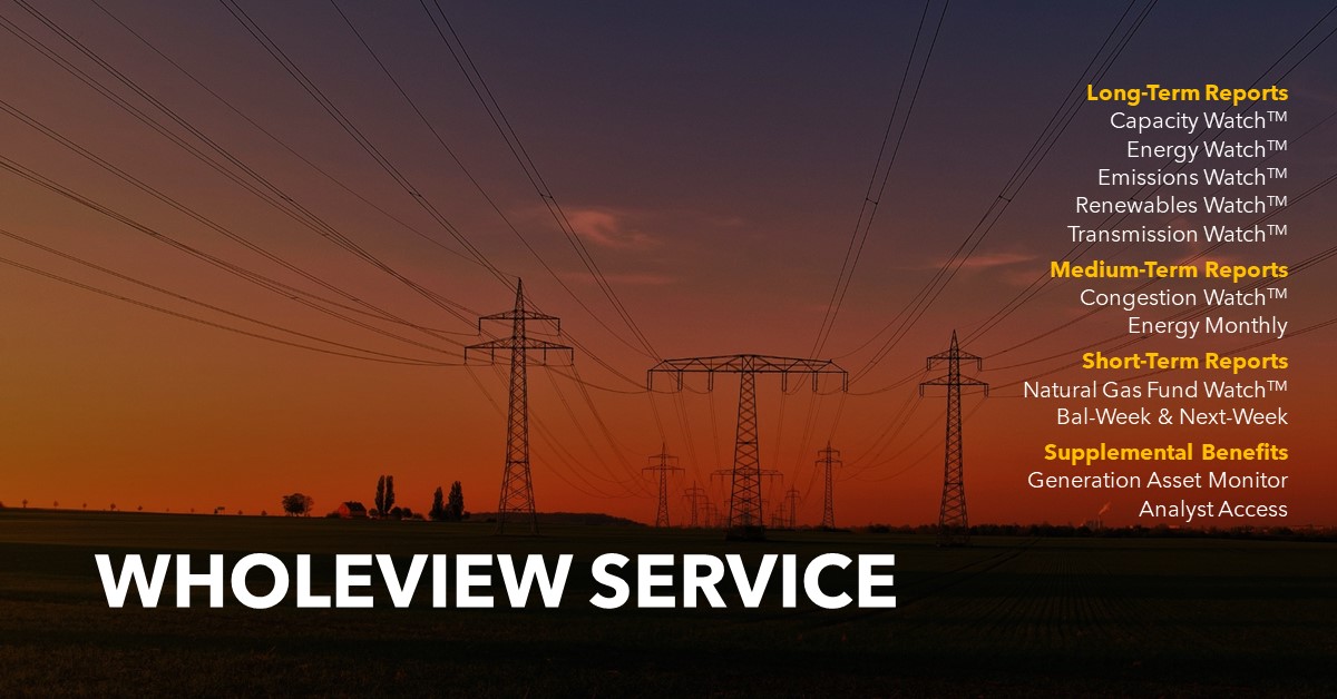 WholeView Service