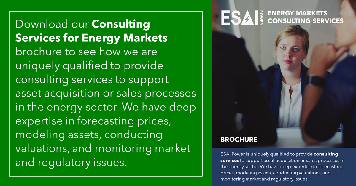 Consulting Services Brochure Download Graphic