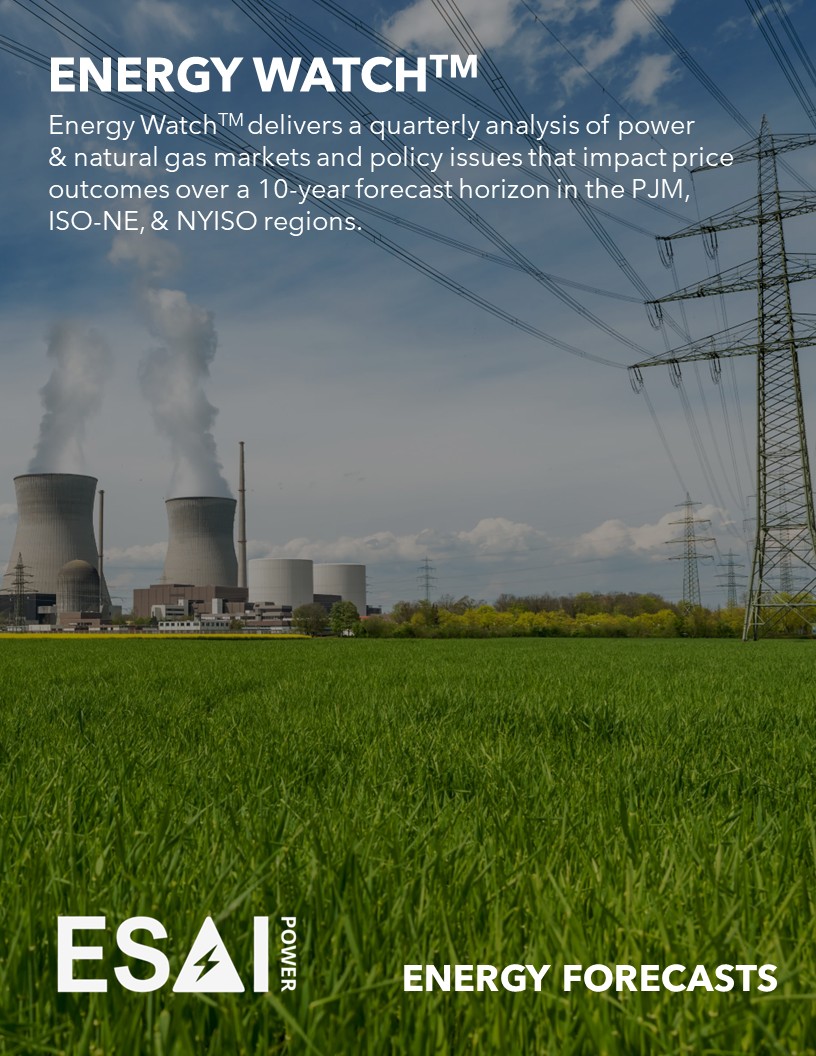 ESAI-Power-Energy-Watch-Brian-Doyle-Feb-2025-Graphic ESAI-Power-Energy-Watch-Brian-Doyle-Feb-2025-Graphic